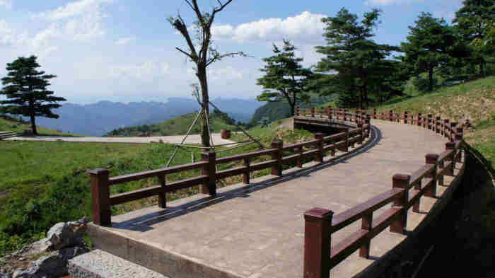 仿木護(hù)欄展示